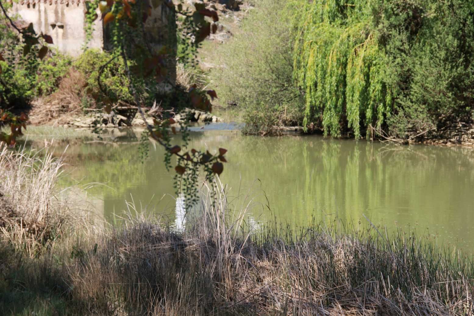 1 Premio REFLEJOS 1555x1037