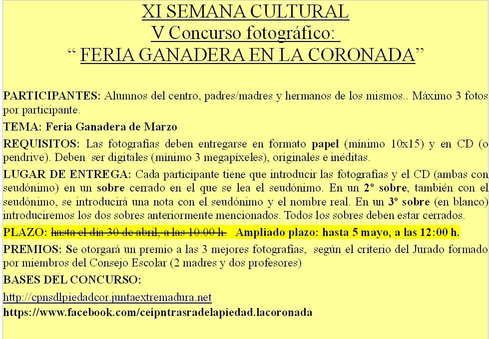 fotoconcurso