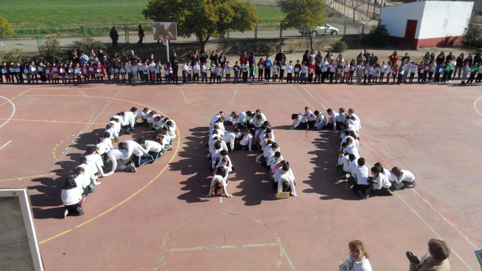 paz 065